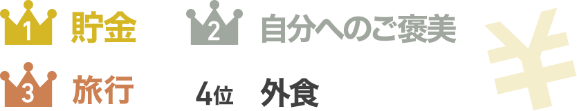 ボーナスの使い方具